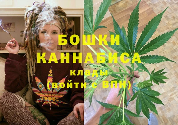 скорость Гусев