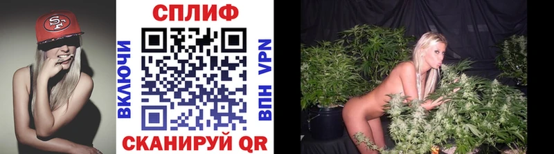 blacksprut онион  Новочебоксарск  Шишки марихуана Ganja 